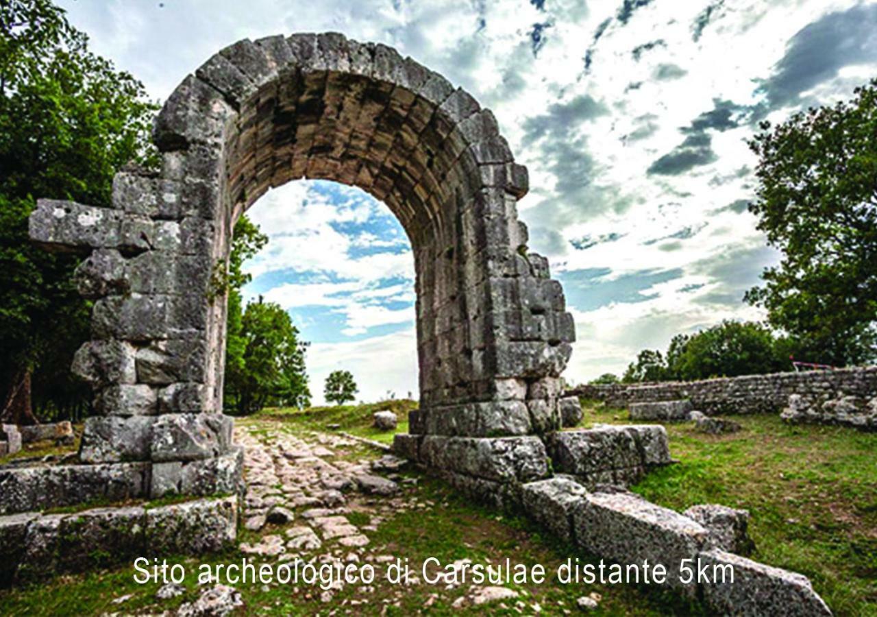 Foresteria Terra Majura Terni